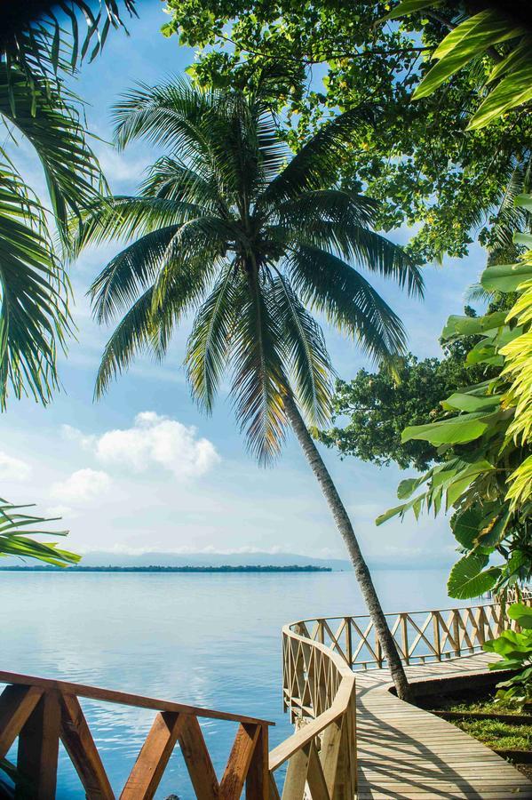 Banana Palms Hotel Rio Dulce Town Εξωτερικό φωτογραφία